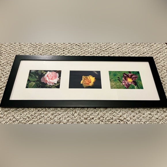 Framed Flower Photographs - Picture 1 of 5